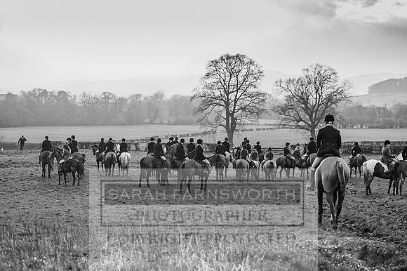 Ludlow 261215-463 bw