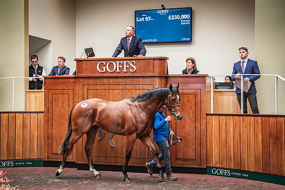 Goffs UK Breeze Up 2022-313