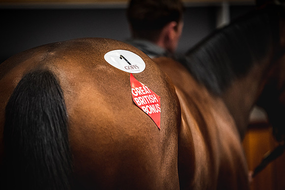 Goffs UK Breeze Up 2022-161