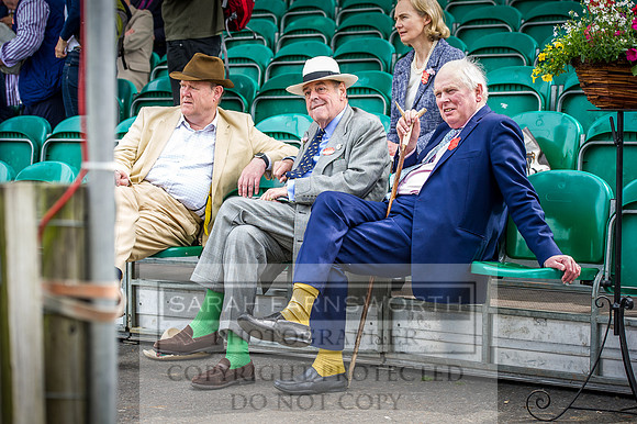 Ardingly Beagles 2016-9