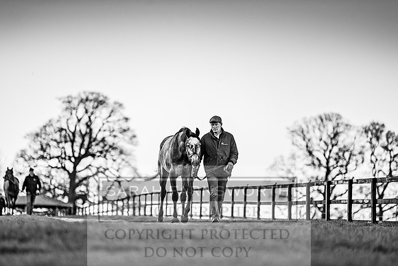 Tweenhills January 2019-68