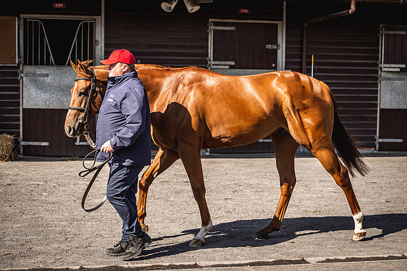 Goffs UK Breeze Up 2022-180