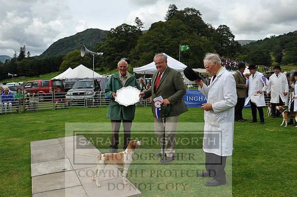 Rydal 2014 CF1 444
