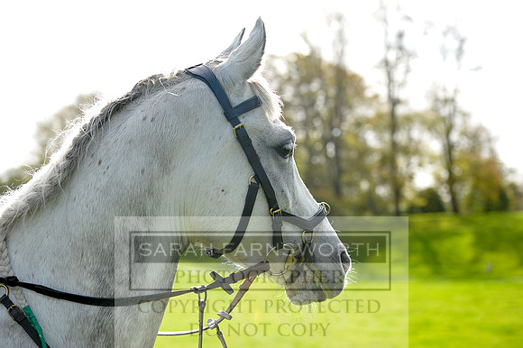 Heythrop Fun Ride 2014-510