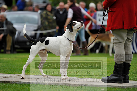 Rydal 2014 CF2 380