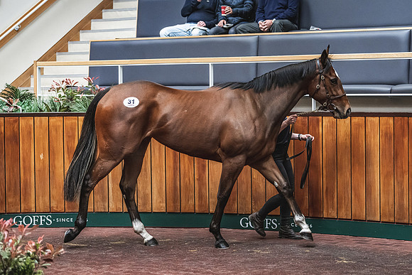 Goffs UK Breeze Up 2022-217