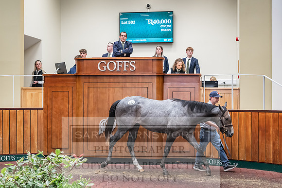 Goffs UK PY24-518