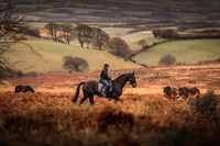Exmoor Autumn 2020-8