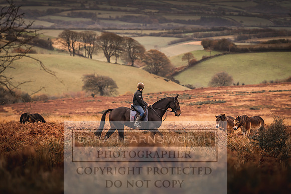 Exmoor Autumn 2020-8