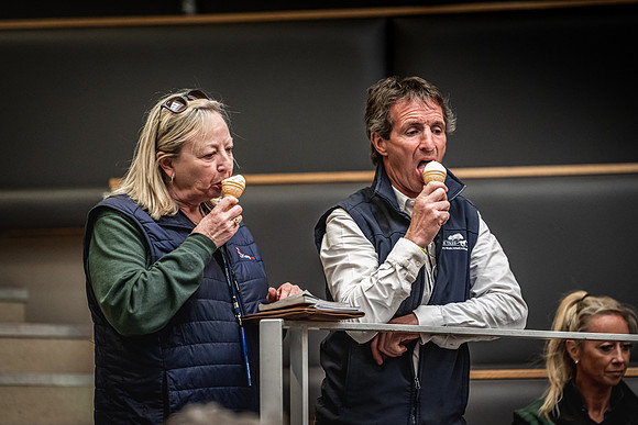 Goffs UK Breeze Up 2022-318