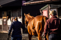 Goffs UK Breeze Up 2022-6