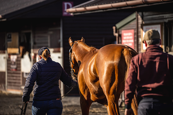 Goffs UK Breeze Up 2022-6