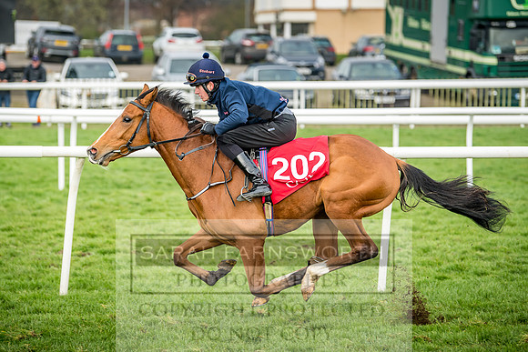 GUK Breeze Up 2018-195