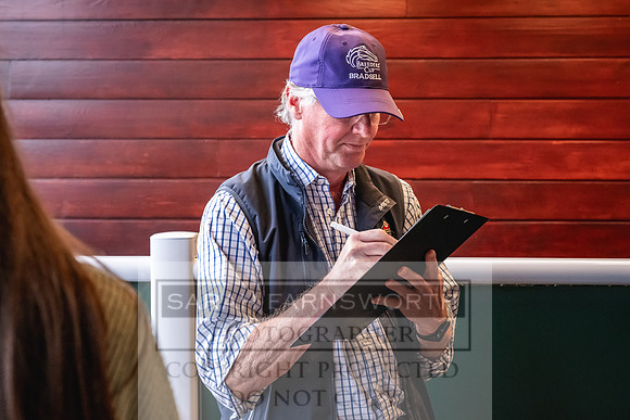 Goffs UK PY24-594