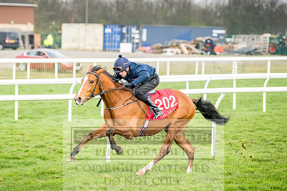 GUK Breeze Up 2018-193