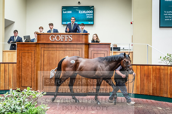 Goffs UK PY24-399