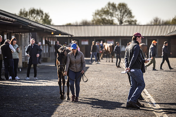 Goffs UK Breeze Up 2022-144