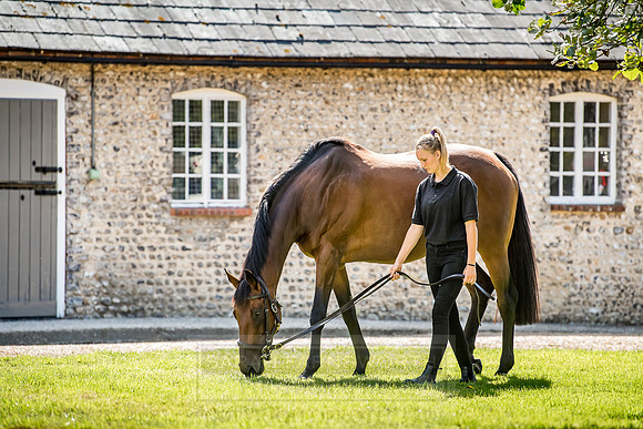 GUK Goodwood Sale 2018-18