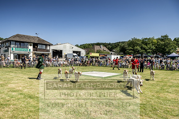 Builth Hound Show 2019-88