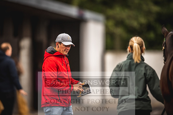 Goffs Orby 2022 Day 1-43