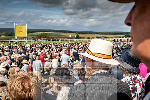 GUK Goodwood Sale 2019-141