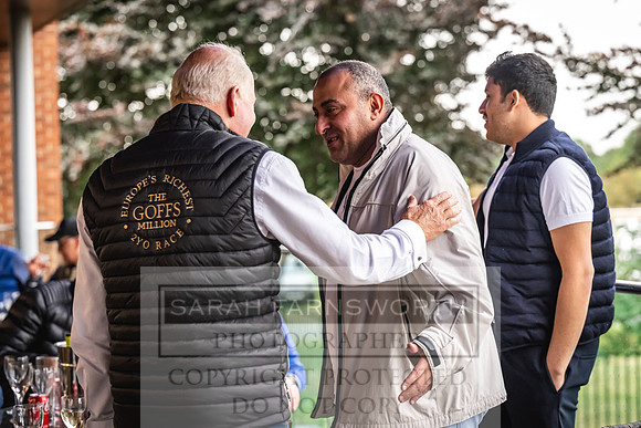 Goffs UK PY24-189