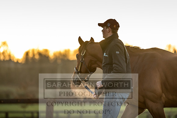 Tweenhills January 2019-76