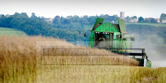 combining r-oil 027