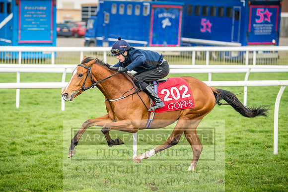 GUK Breeze Up 2018-194