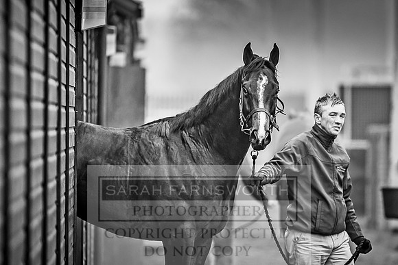 GUK Breeze Up 2018-112