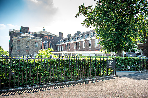 Goffs London Sale 2017-18