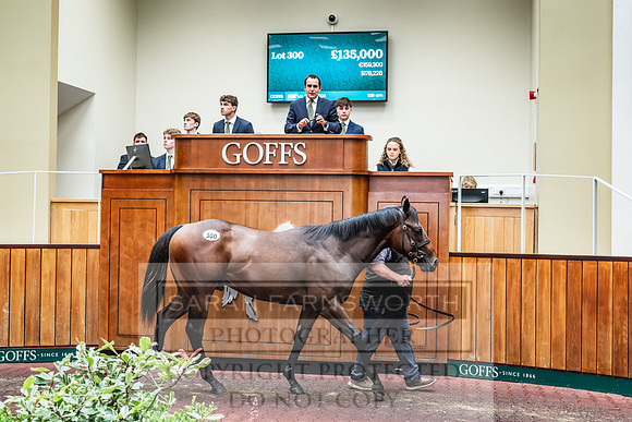 Goffs UK PY24-397
