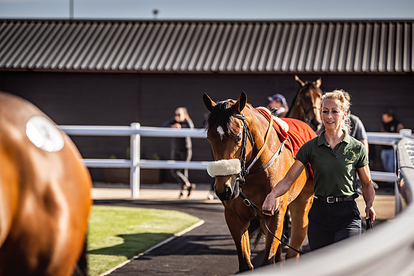 Goffs UK Breeze Up 2022-154