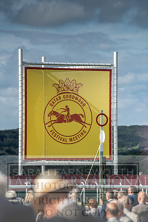 GUK Goodwood Sale 2019-191