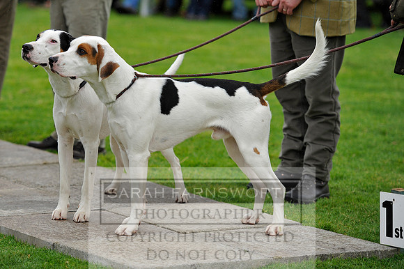 Rydal 2014 CF2 291