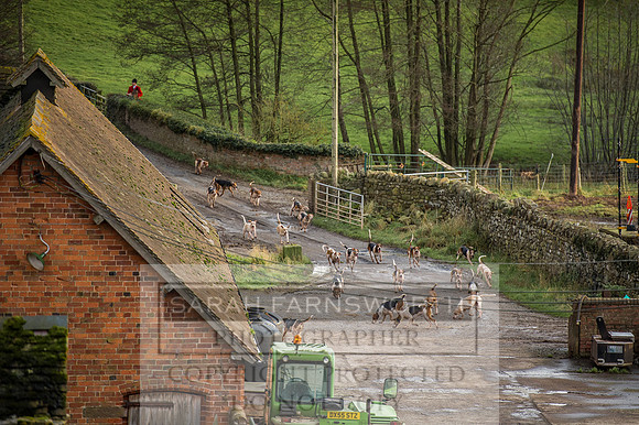 Ludlow 261215-464