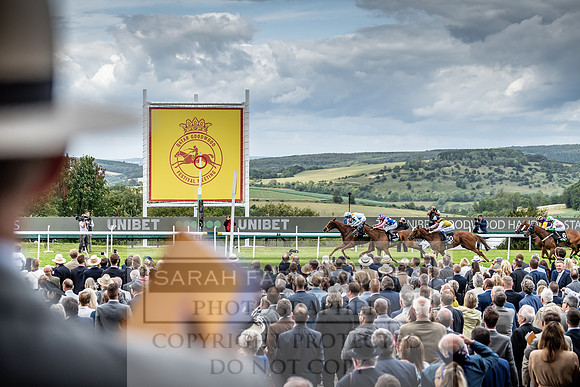 GUK Goodwood Sale 2019-12
