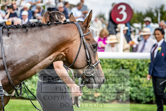 GUK Goodwood Sale 2019-117