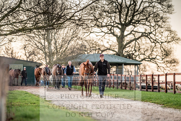 Tweenhills January 2019-29
