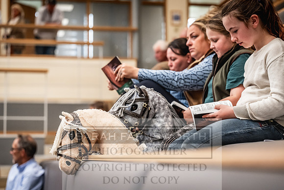 Goffs UK PY24-512