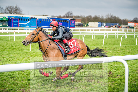 GUK Breeze Up 2018-264