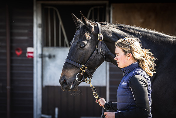 Goffs UK Spring Sale 22 Day 2-25