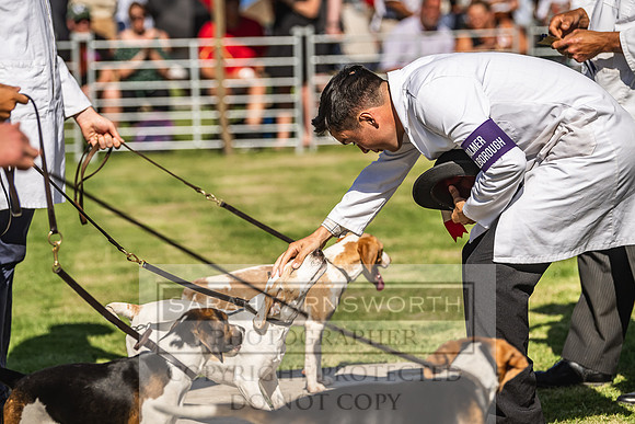 Rydal Hound Show 2022-4