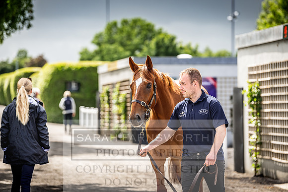 Goffs Land Rover Sale 2022-595
