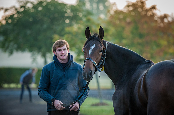 Goffs Orby 2015 -81