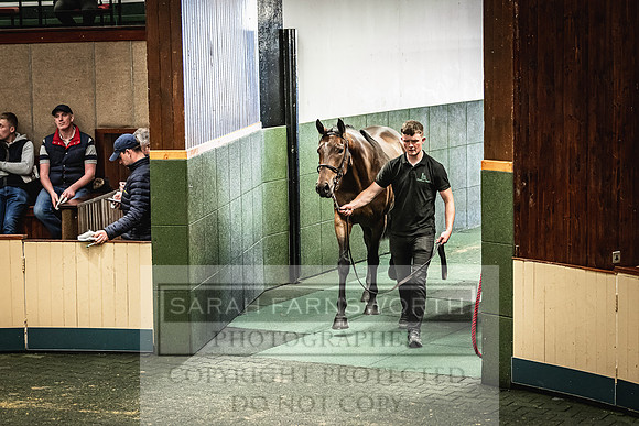 Goffs Land Rover Sale 2022-656