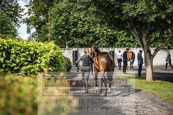 Goffs Land Rover Sale 2022-152