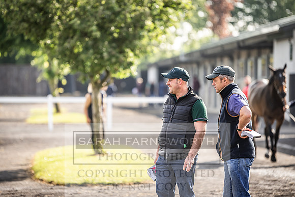 Goffs Land Rover Sale 2022-132