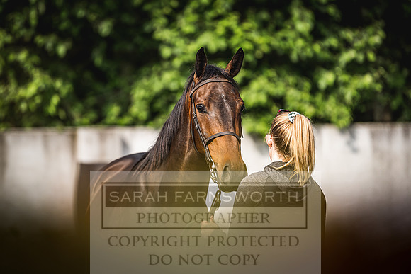 Goffs Land Rover Sale 2022-156