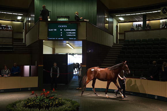 Goffs Orby14 CF3 150